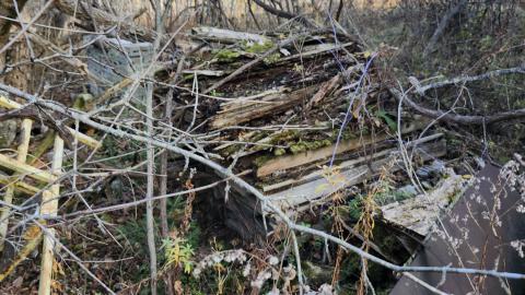 Red Cloud November 2024 - 20241103_142843.jpg