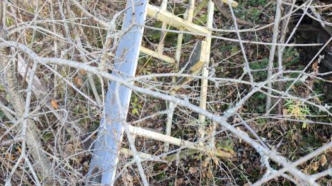 Red Cloud November 2024 - 20241103_142845.jpg