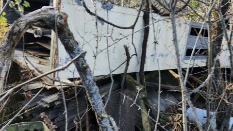 Red Cloud November 2024 - 20241103_142858.jpg