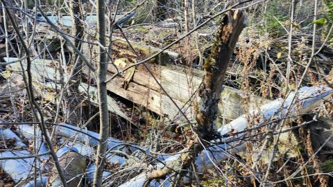 Red Cloud November 2024 - 20241103_142915.jpg