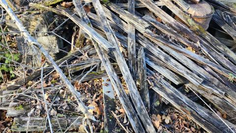 Red Cloud November 2024 - 20241103_142937.jpg