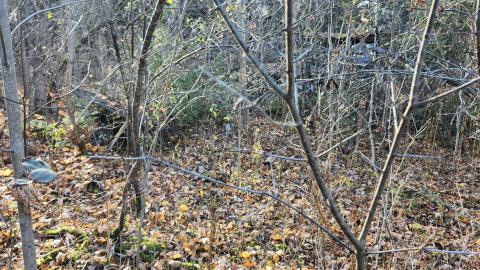 Alot of scrap metal and wire around the areas woods