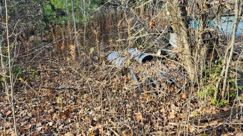 Red Cloud November 2024 - 20241103_142948.jpg