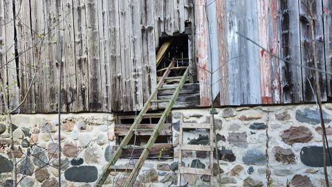 Ladder into the old barn, original to building