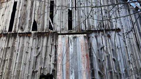 Red Cloud November 2024 - 20241103_143013.jpg