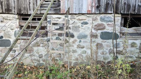 Red Cloud November 2024 - 20241103_143014.jpg