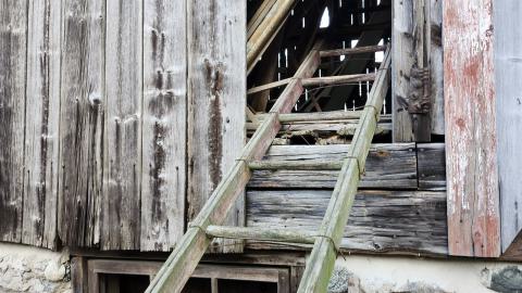 Red Cloud November 2024 - 20241103_143033.jpg