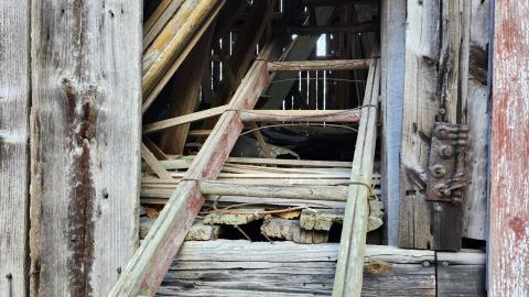 Red Cloud November 2024 - 20241103_143036.jpg