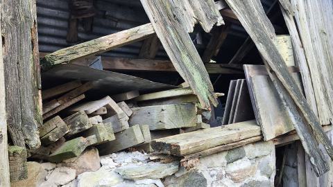 Red Cloud November 2024 - 20241103_143054.jpg