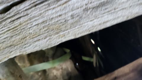 Red Cloud November 2024 - 20241103_143133.jpg