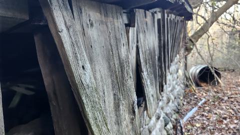 Red Cloud November 2024 - 20241103_143135.jpg