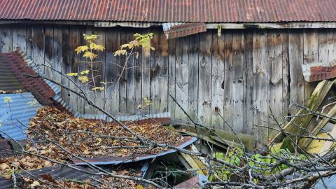 Red Cloud November 2024 - 20241103_143141.jpg