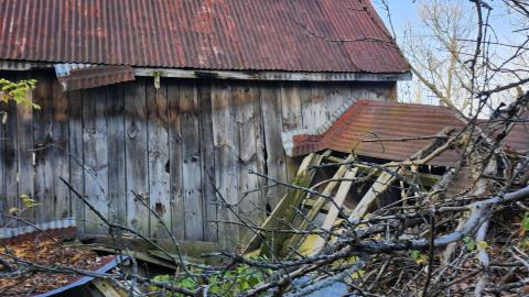 Red Cloud November 2024 - 20241103_143142.jpg