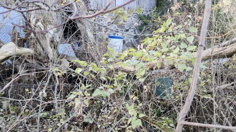 Red Cloud November 2024 - 20241103_143247.jpg