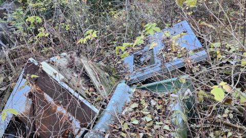 Red Cloud November 2024 - 20241103_143300.jpg