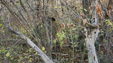 Red Cloud November 2024 - 20241103_143329.jpg