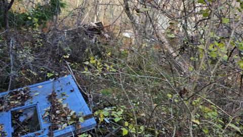 Red Cloud November 2024 - 20241103_143330.jpg