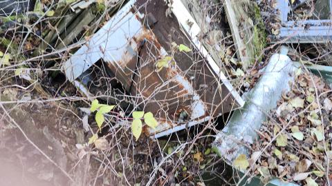 Red Cloud November 2024 - 20241103_143331.jpg