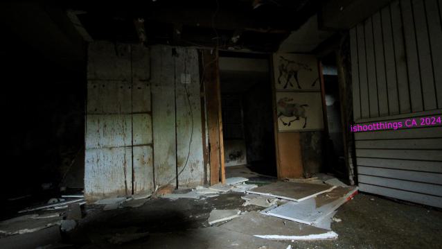 Didnt Want To Put Effort Into the Last One... - AUG 2024 - IMG_0259.JPG