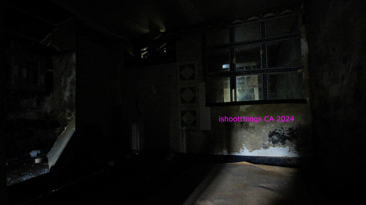 Didnt Want To Put Effort Into the Last One... - AUG 2024 - IMG_0260.JPG