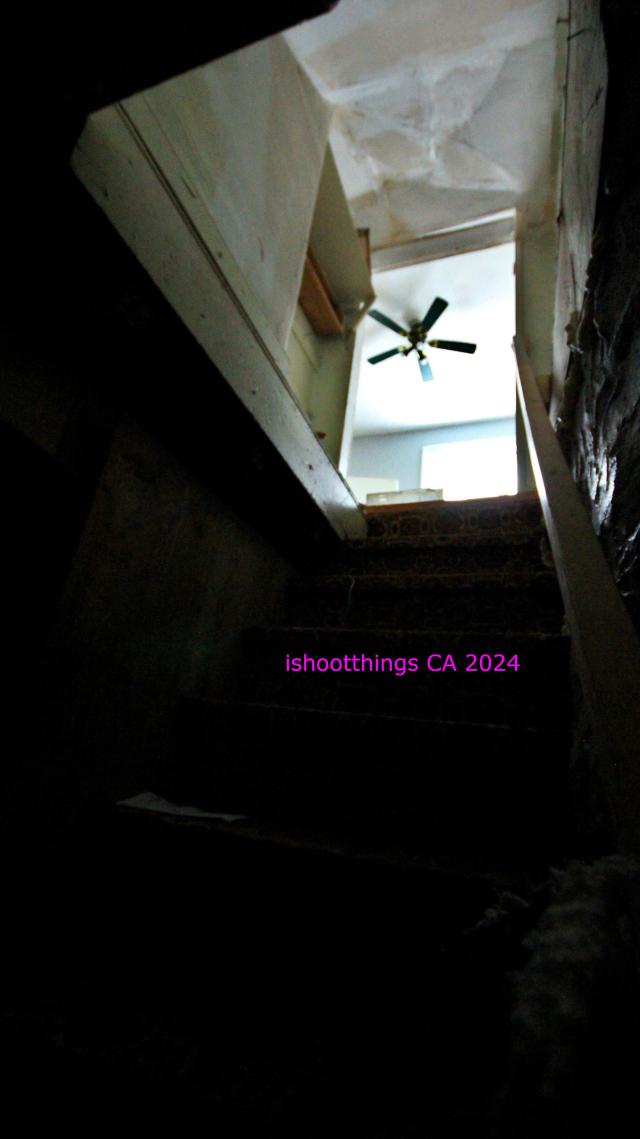 Didnt Want To Put Effort Into the Last One... - AUG 2024 - IMG_0261.JPG