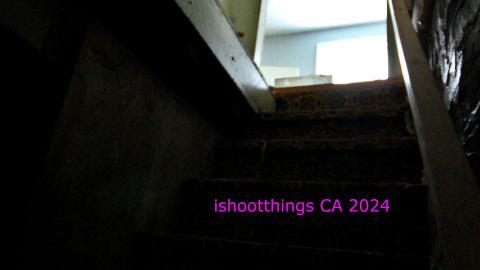 Didnt Want To Put Effort Into the Last One... - AUG 2024 - IMG_0261.JPG