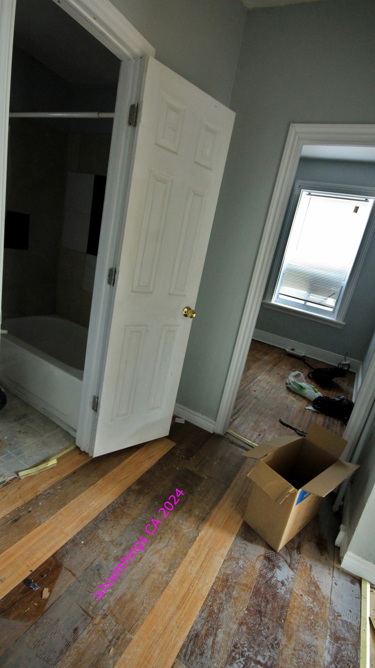 Didnt Want To Put Effort Into the Last One... - AUG 2024 - IMG_0264.JPG