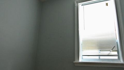 Didnt Want To Put Effort Into the Last One... - AUG 2024 - IMG_0266.JPG