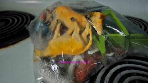 Didnt Want To Put Effort Into the Last One... - AUG 2024 - IMG_0289.JPG