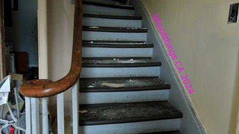 Didnt Want To Put Effort Into the Last One... - AUG 2024 - IMG_0295.JPG