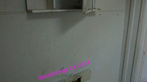 Didnt Want To Put Effort Into the Last One... - AUG 2024 - IMG_0313.JPG