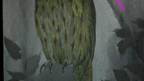 Didnt Want To Put Effort Into the Last One... - AUG 2024 - IMG_0316.JPG