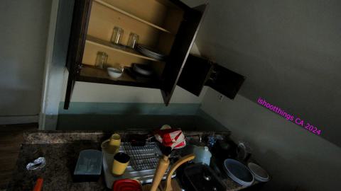 Didnt Want To Put Effort Into the Last One... - AUG 2024 - IMG_0319.JPG