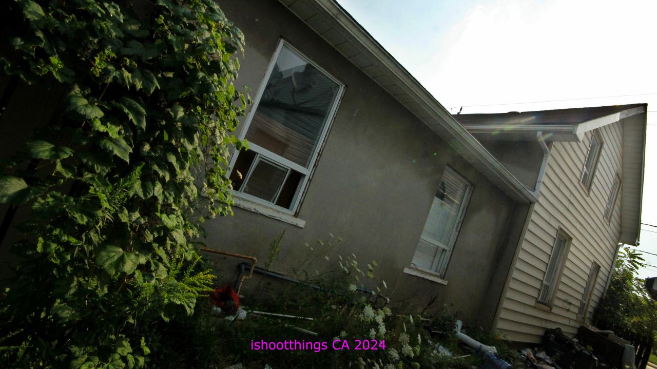 Didnt Want To Put Effort Into the Last One... - AUG 2024 - IMG_0346.JPG