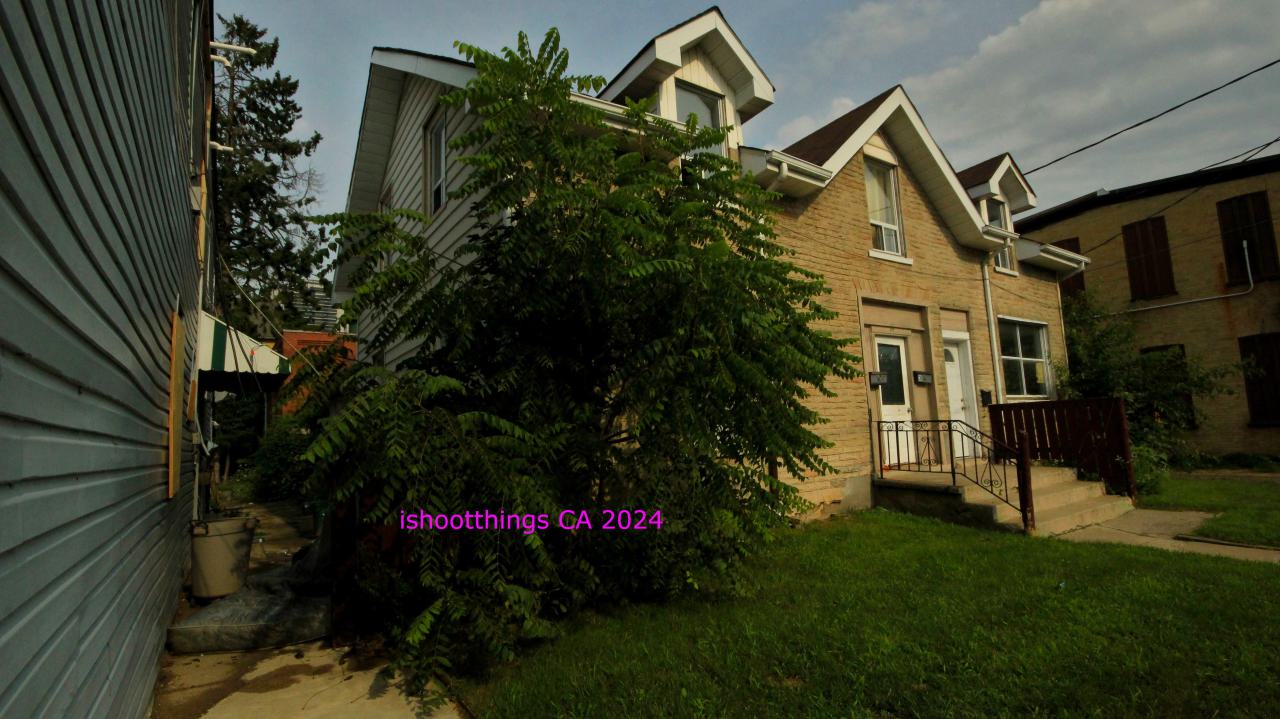 Didnt Want To Put Effort Into the Last One... - AUG 2024 - IMG_0355.JPG