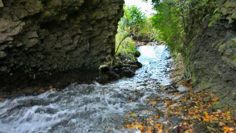 Walking The Waterfall - OCT 2023 - IMG_8982.JPG
