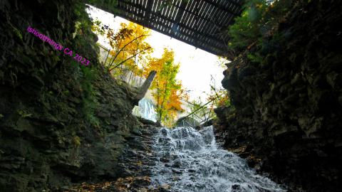 Walking The Waterfall - OCT 2023 - IMG_8986.JPG