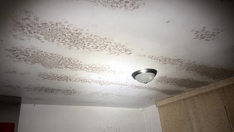 House of Smiles - IMG_1819.jpg