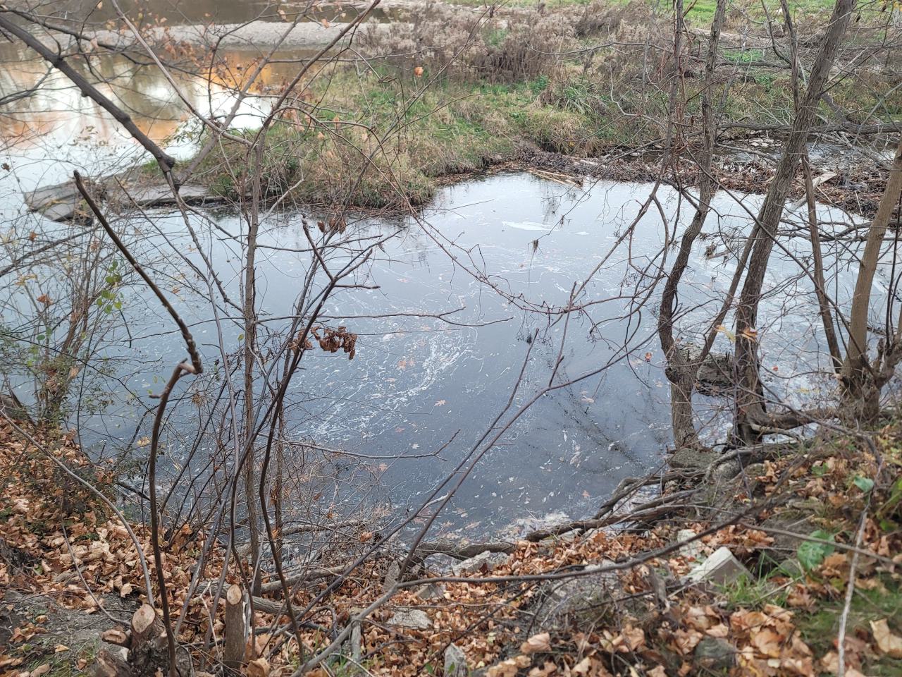 Taggsmaxxing - 20241107_164449.jpg