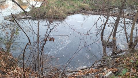 Taggsmaxxing - 20241107_164449.jpg