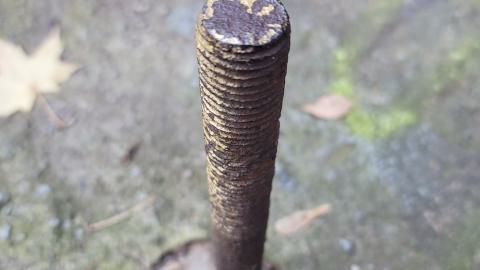 Taggsmaxxing - 20241107_163025.jpg