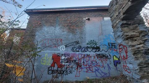 Taggsmaxxing - 20241107_162955.jpg