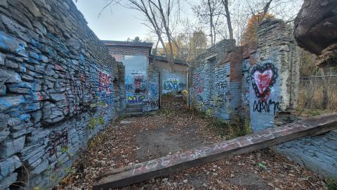 Taggsmaxxing - 20241107_162911.jpg