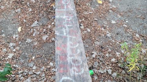 Taggsmaxxing - 20241107_162849.jpg