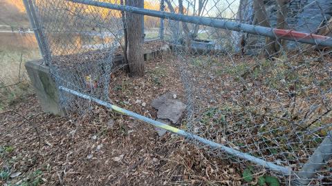 Taggsmaxxing - 20241107_162620.jpg