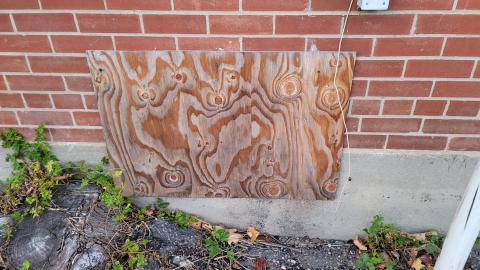 Didn't Even Notice - 20241107_170030.jpg