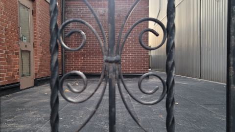 Didn't Even Notice - 20241107_165738.jpg