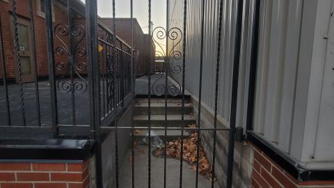 Didn't Even Notice - 20241107_165710.jpg