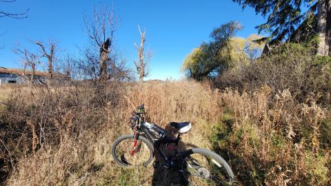 Collapsing Inside Nov 2024 - 20241109_143433.jpg