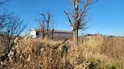 Photo from Collapsing Inside Nov 2024